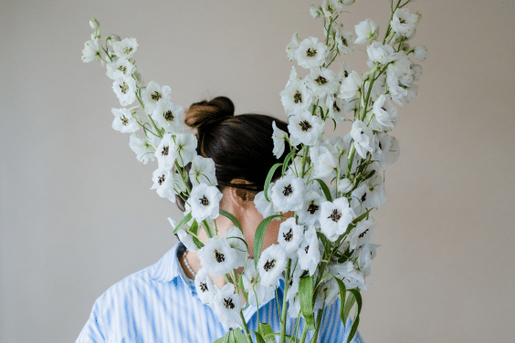 delphinium