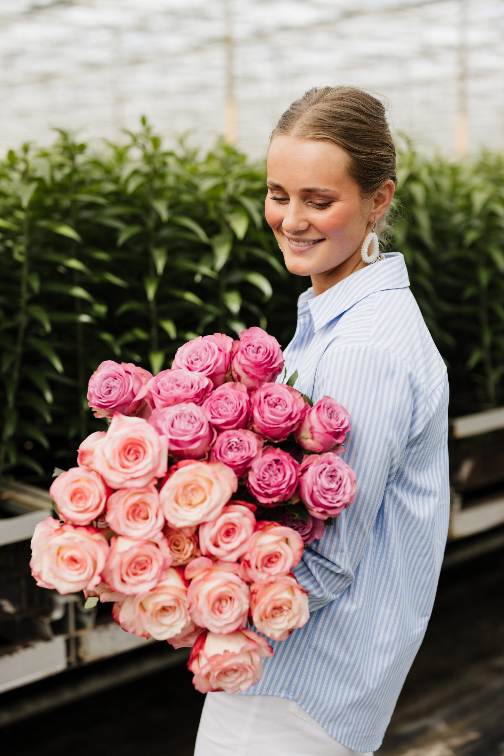 Ecuador roses