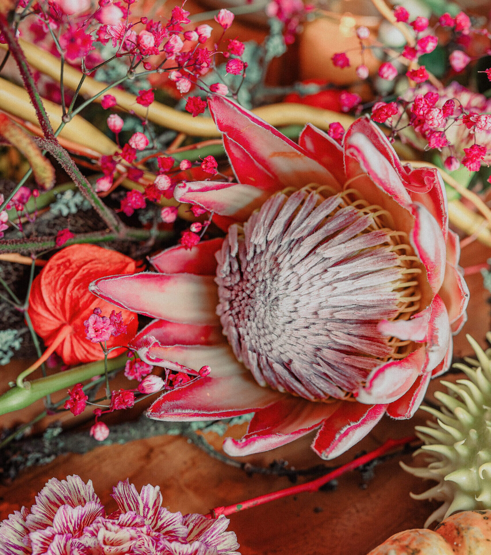 Protea flowers as autumn table decoration