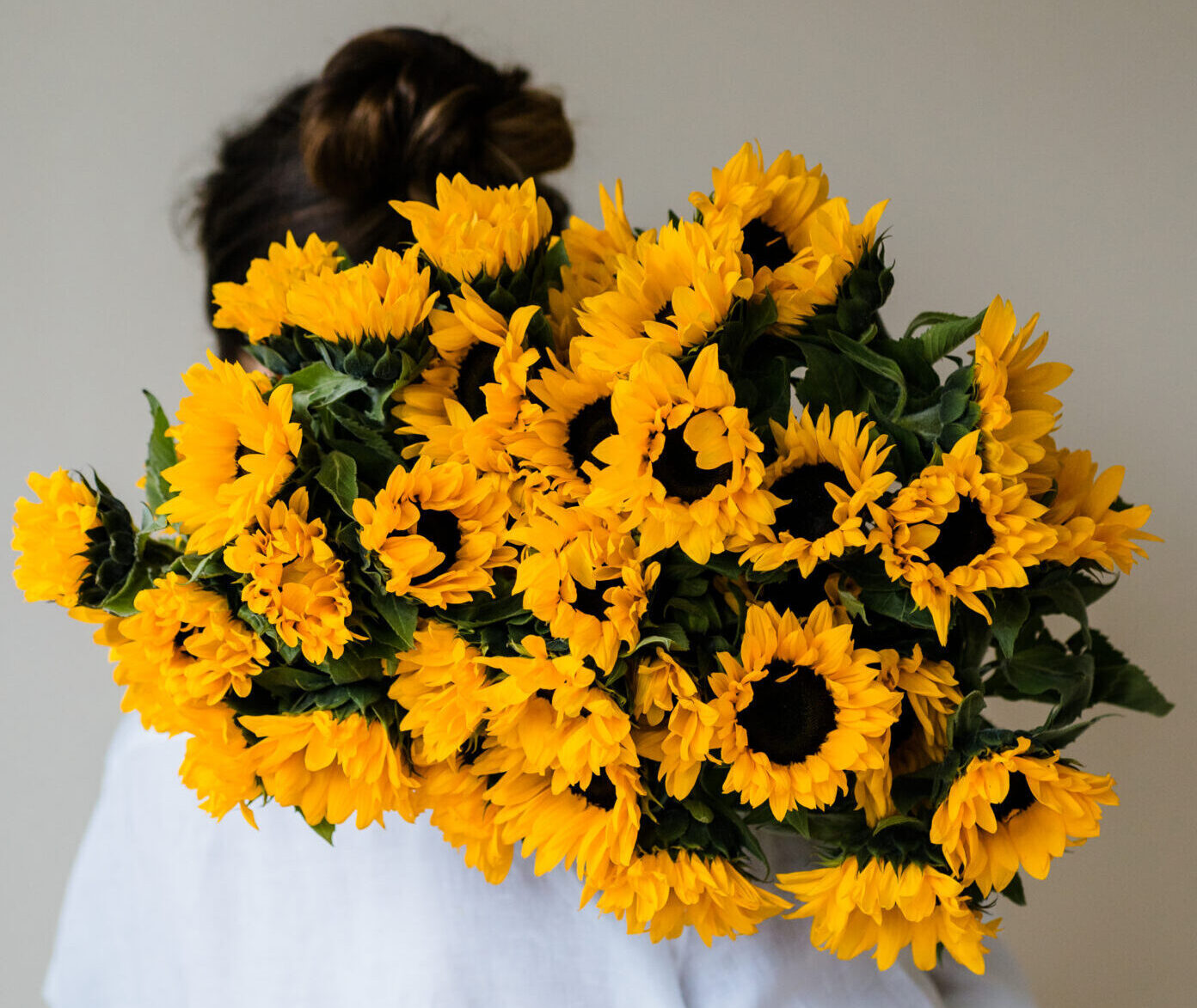 Sonnenblumen: Genießen Sie die Sommerpracht