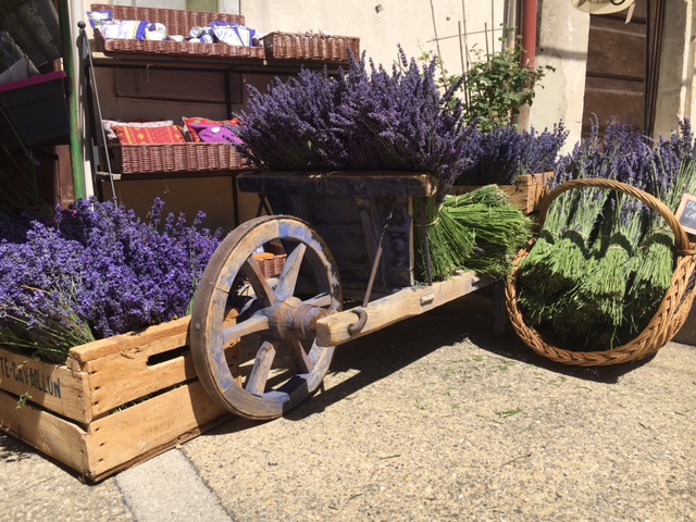 bloeitijd lavendel